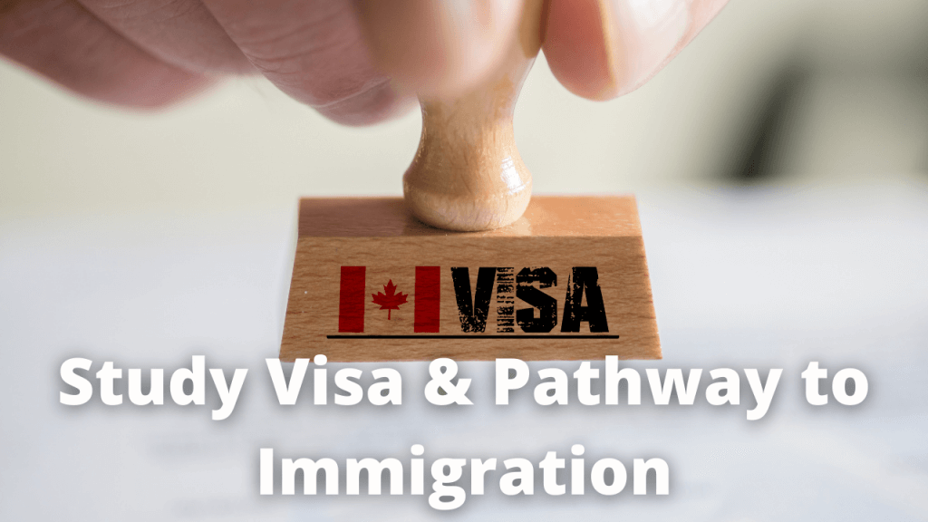 Study Visa And Pathway To Immigration Canada, Study Permit, Swift Immigrations
